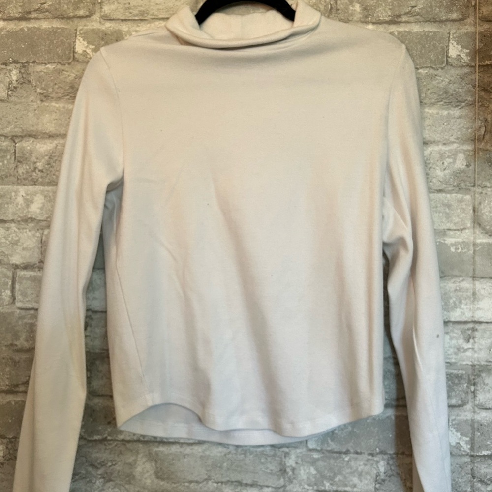 Aritzia Long Sleeve Turtleneck